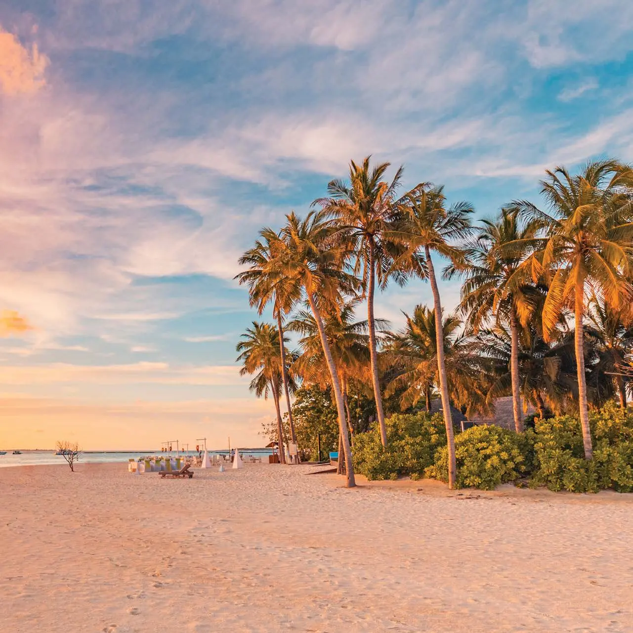 Guarda-sóis premium em ambiente de praia tropical com coqueiros, representando conforto, proteção solar e áreas de lazer sofisticadas.